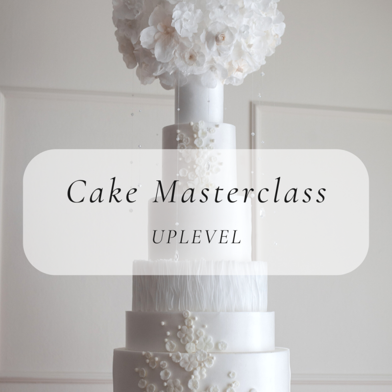 Novo: Cake Masterclass UPLEVEL